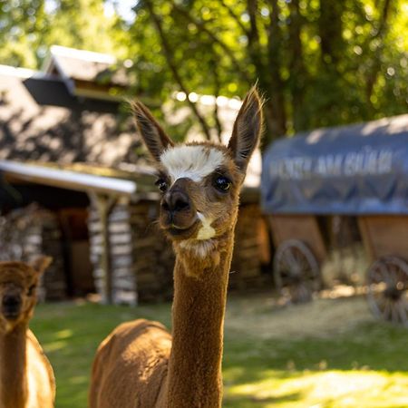 Hotel Am Buehl Eibenstock Kültér fotó